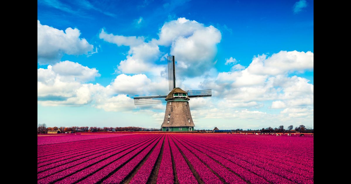 Cheap Flights to Netherlands from 1,021