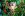 preload